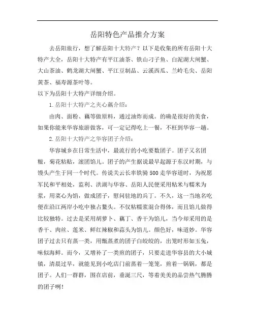 岳阳特色产品推介方案