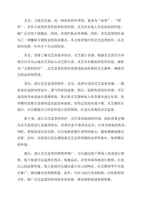 灵芝盆景制作一年收益至少十万元