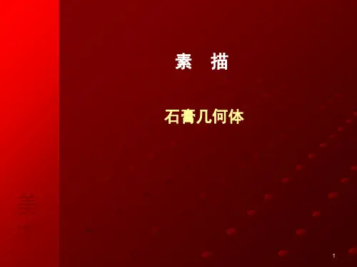 结构素描.PPT