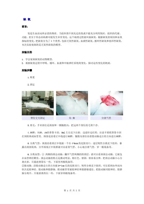 病生实验：缺氧