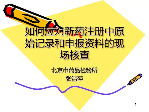 如何应对新药审批中原始记录和申报资料的现场核查PPT课件