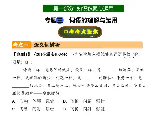 中考语文专题3  词语的理解与运用