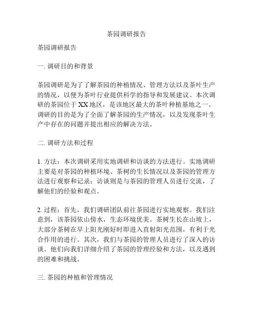 茶园调研报告