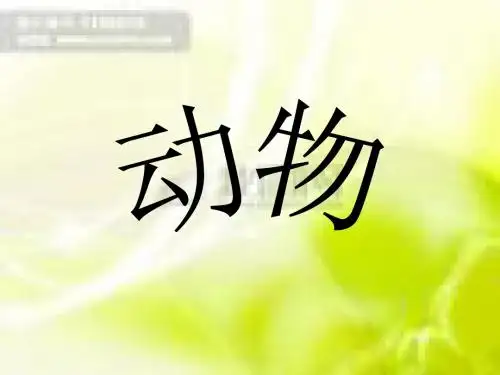 教科版三年级上册科学第二单元课件