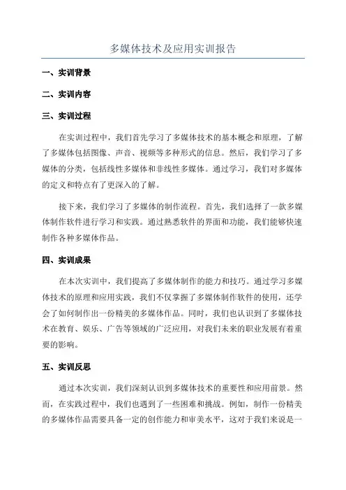 多媒体技术及应用实训报告