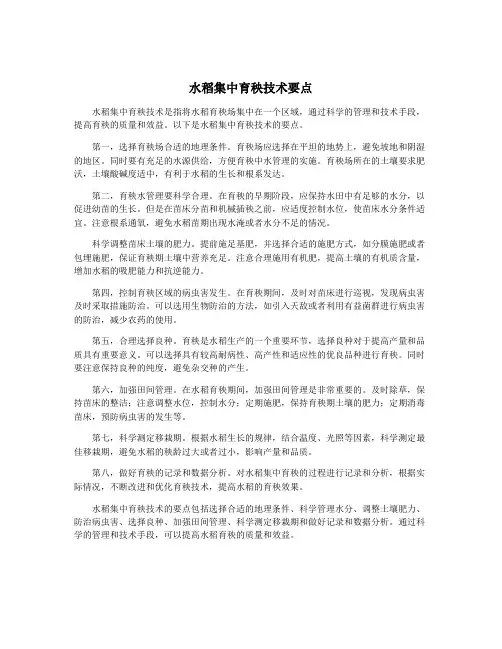 水稻集中育秧技术要点