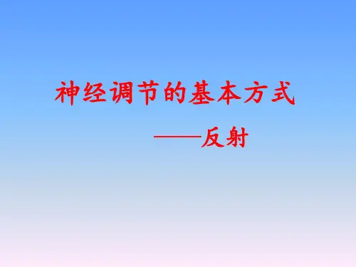 生物七年级下北师大版12.1神经系统与神经调节课件(12张)