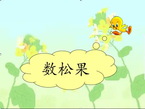新北师大版二年级数学上册《数松果》赛课课件