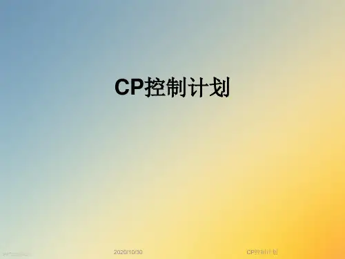 CP控制计划