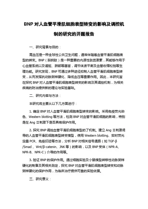 BNP对人血管平滑肌细胞表型转变的影响及调控机制的研究的开题报告