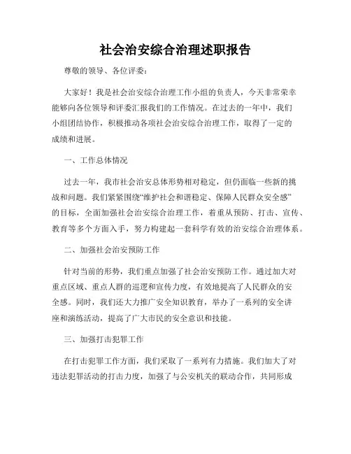 社会治安综合治理述职报告