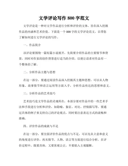 文学评论写作800字范文