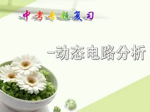动态电路分析专题