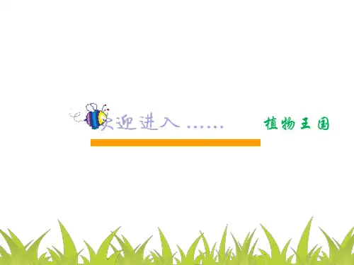 红星幼儿园大班科学《植物王国》PPT课件