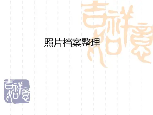 照片档案整理