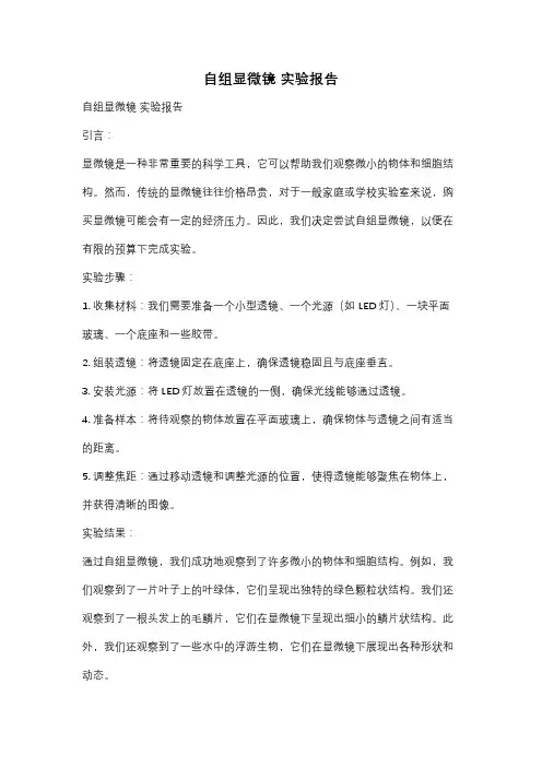 自组显微镜 实验报告
