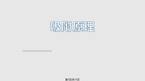 吸附原理PPT课件