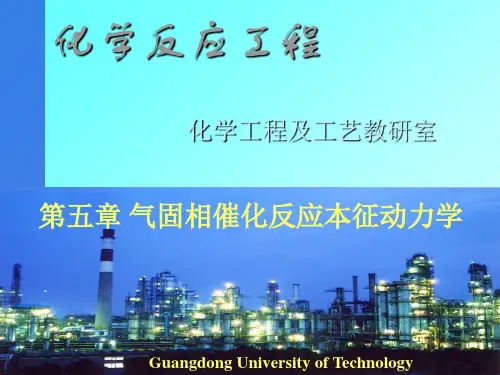 第五章气固相催化反应本征动力学