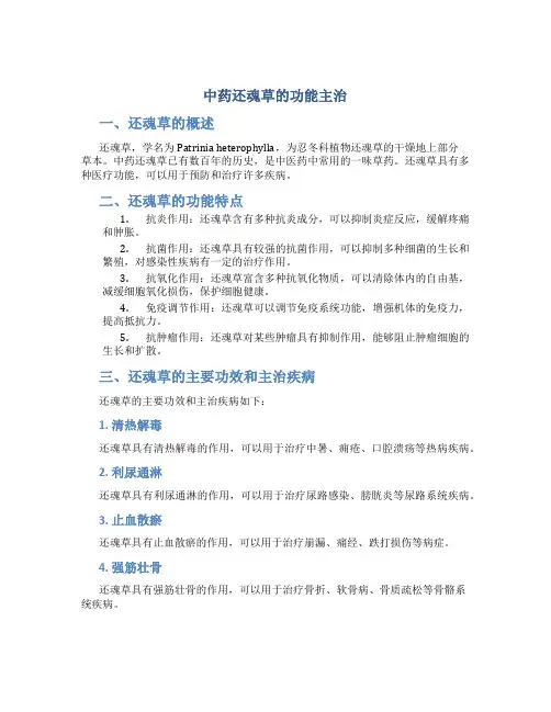 中药还魂草的功能主治