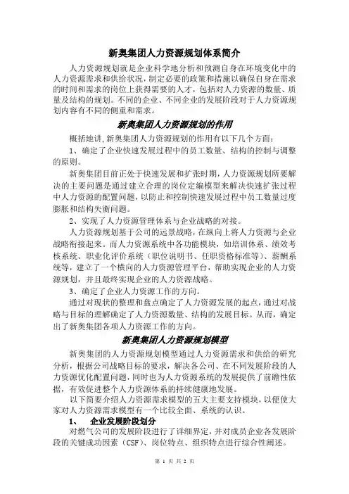 新奥集团人力资源规划体系简介（徐继军）