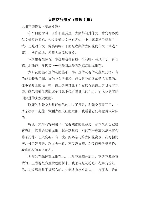 太阳花的作文(9篇)