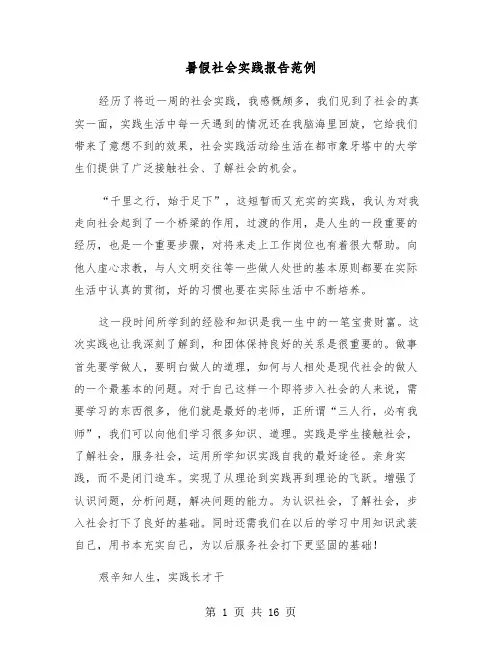 暑假社会实践报告范例(6篇)
