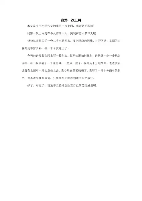 我第一次上网_小学作文