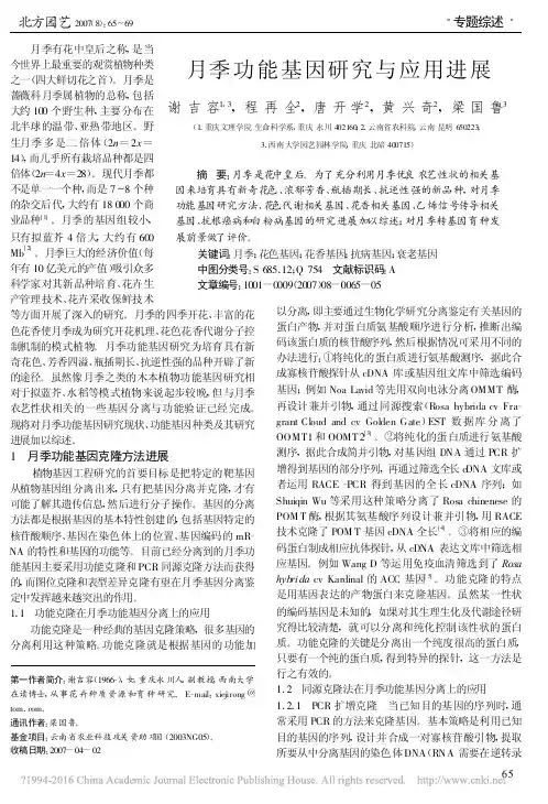 月季功能基因研究与应用进展_谢吉容