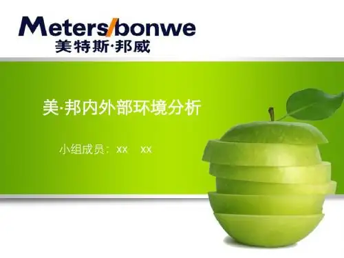 美·邦内外部环境分析