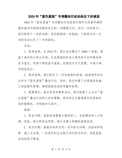 2024年“蓝色屋面”专项整治行动总结及下步谋划