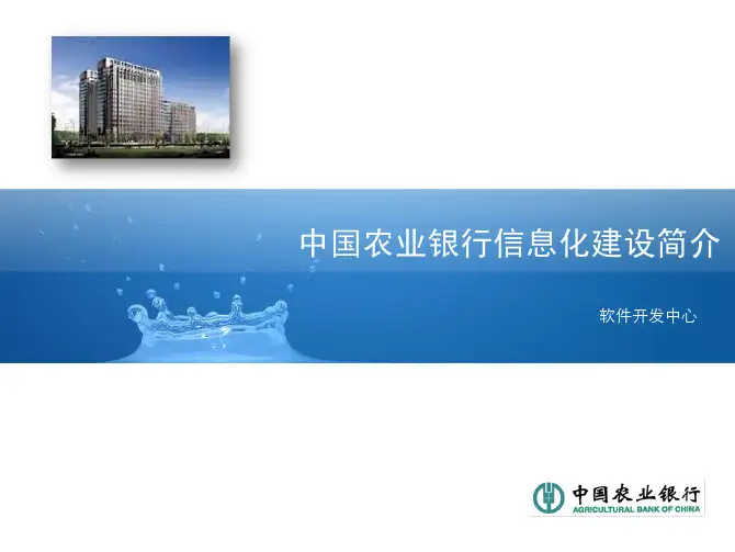 中国农业银行信息化建设简介