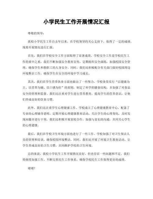 小学民生工作开展情况汇报