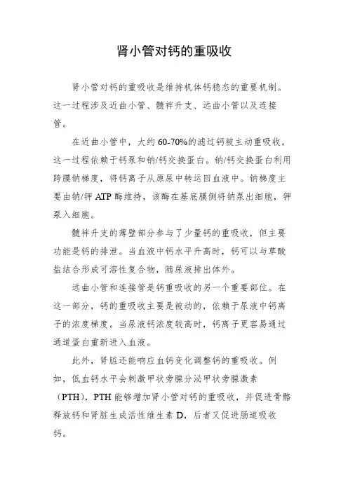 肾小管对钙的重吸收