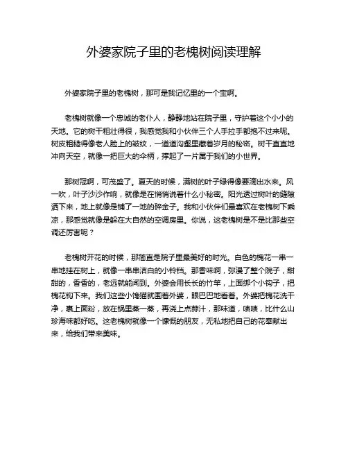 外婆家院子里的老槐树阅读理解