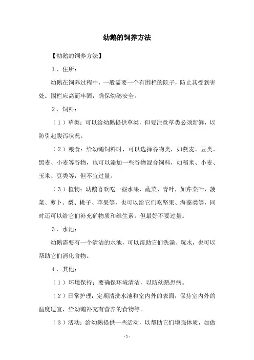 幼鹅的饲养方法