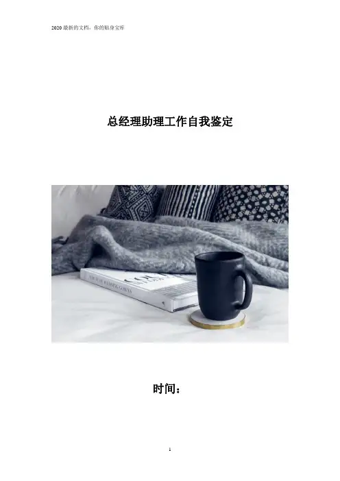 总经理助理工作自我鉴定