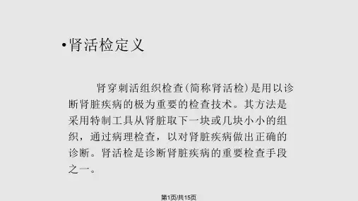 肾穿术前术后的护理PPT课件