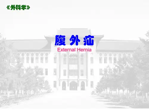 60-18-2腹外疝     内容详实
