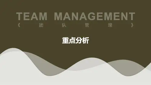 现代企业管理-团队管理-重点分析