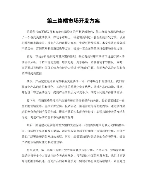 第三终端市场开发方案