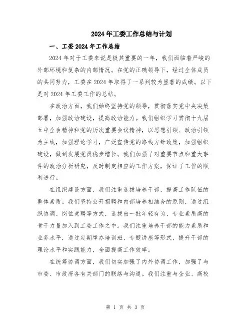 2024年工委工作总结与计划