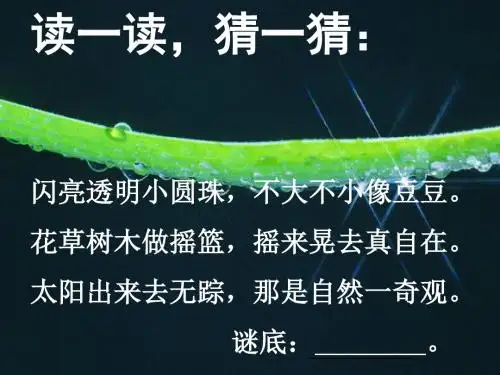 苏教版三年级上册语文《15小露珠》(有各类组词、近义词反义词、《补充习题》《练习与测试》答案)