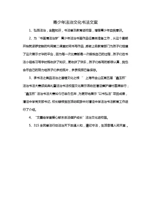 青少年法治文化书法文案