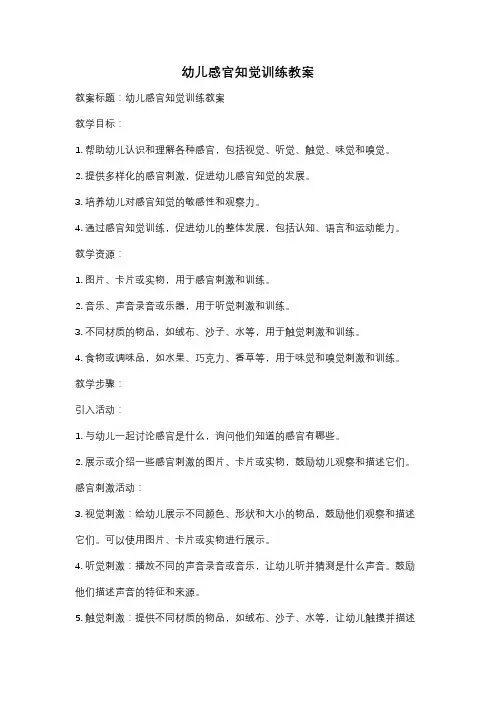 幼儿感官知觉训练教案