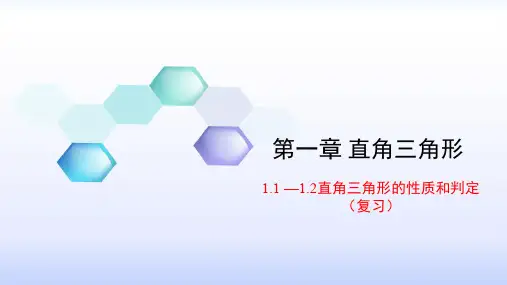 1.1直角三角形的性质和判定(I)