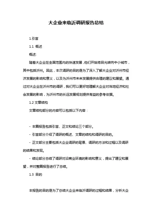 大企业来临沂调研报告总结