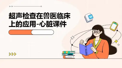 超声检查在兽医临床上的应用心脏课件