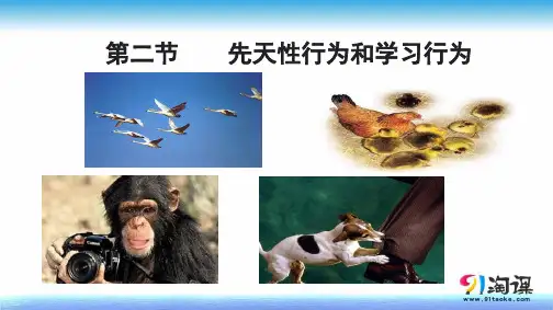 原创1：5.2.2先天性行为和学习行为