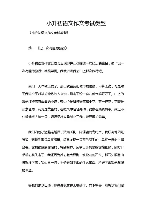小升初语文作文考试类型