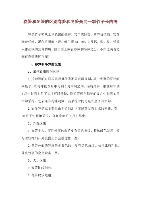春笋和冬笋的区别 春笋和冬笋是同一颗竹子长的吗